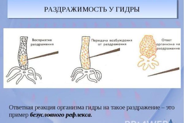 Кракен онион даркнет площадка