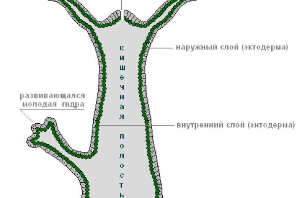 Ссылка на кракен тор браузер